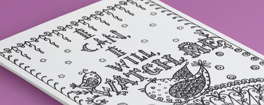 Daring Birdsong by Deborah Muller