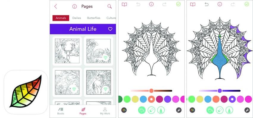 Pigment app screenshot