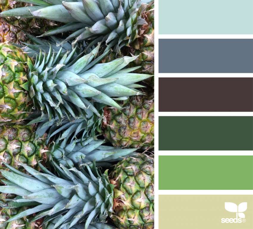 Pineapple Pulchritude color palette