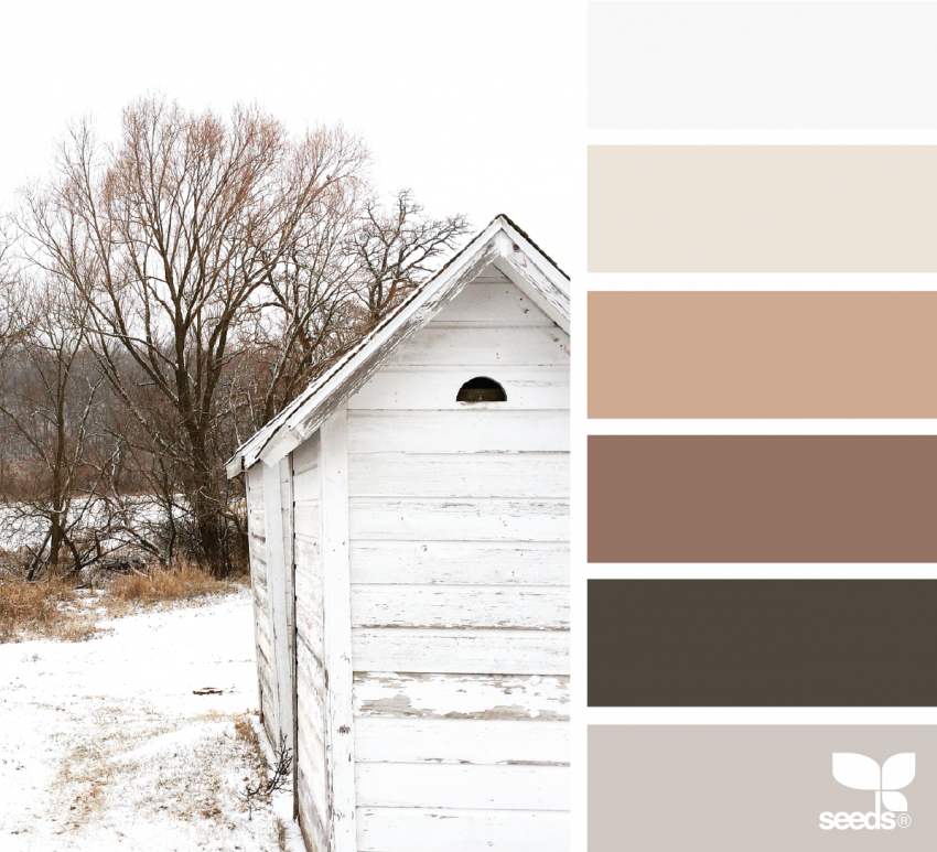 Winter Neutrals color palette