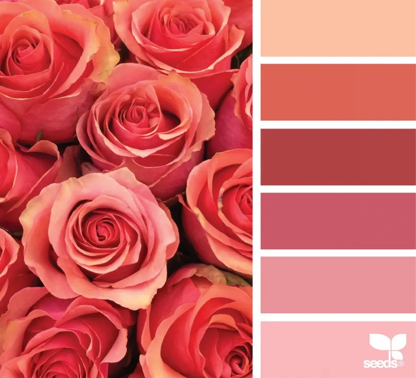 Rainbow color palettes for coloring pages