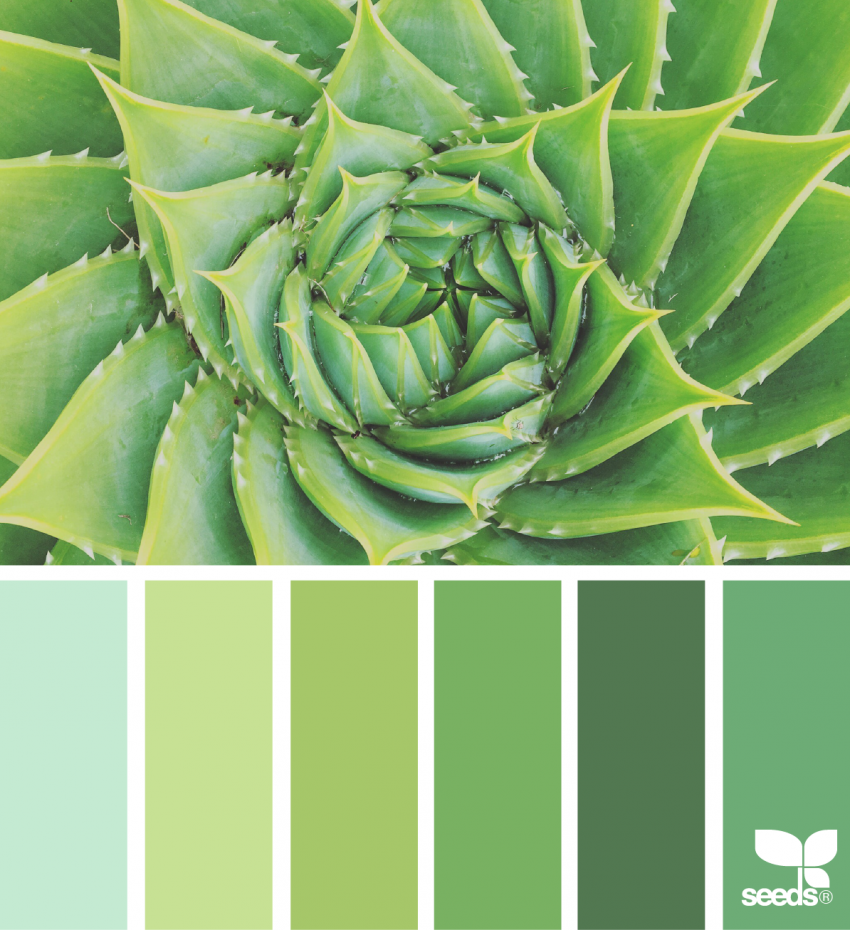 Garden Greens color palette