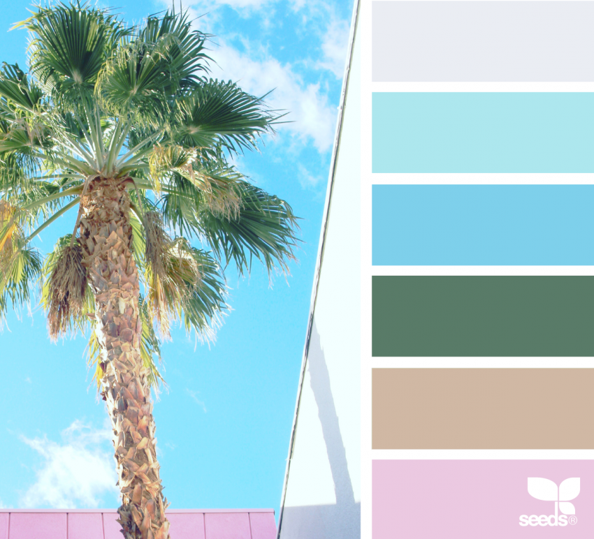 Palm and Pink palette — palm tree greens and pink sky tones