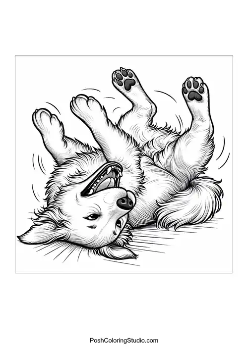 A dog with a playful expression, looking ready to play.