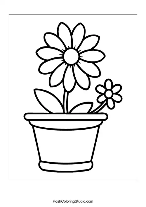 A flower pot with four smiling orchids.
