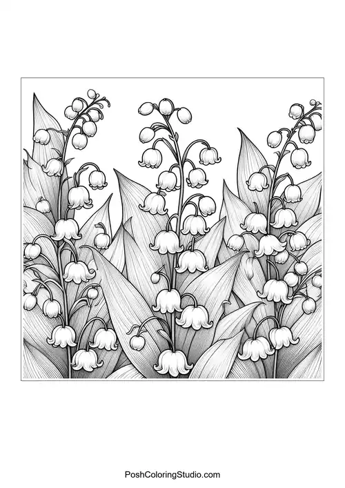 A lily of the valley flower with a distinct curved stem.