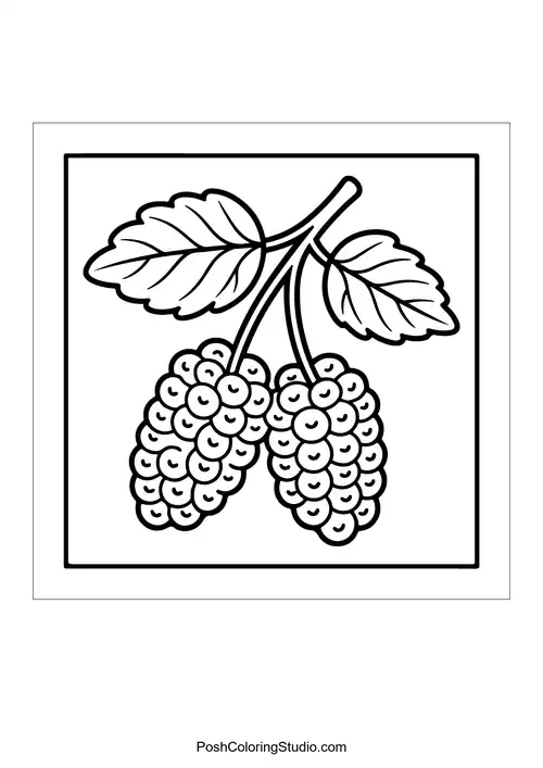A cluster of grapes with leaves and vines.
