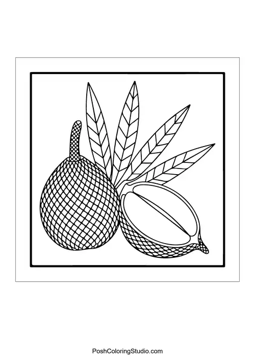 A nut with a shell and leaves.