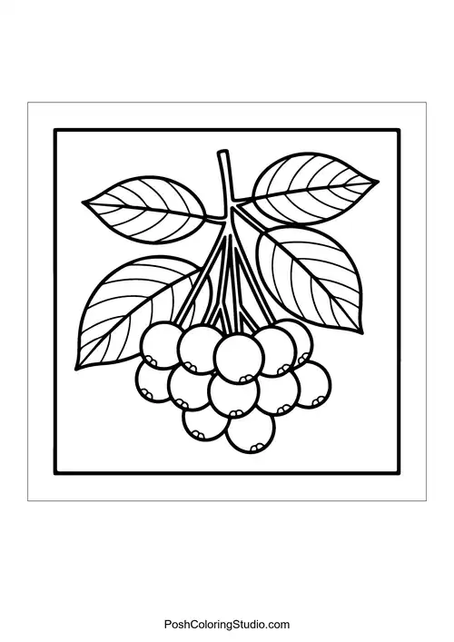 A cluster of berries with leaves and stems.