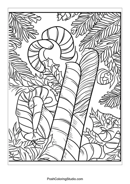 Two candy canes with decorative elements and stars.