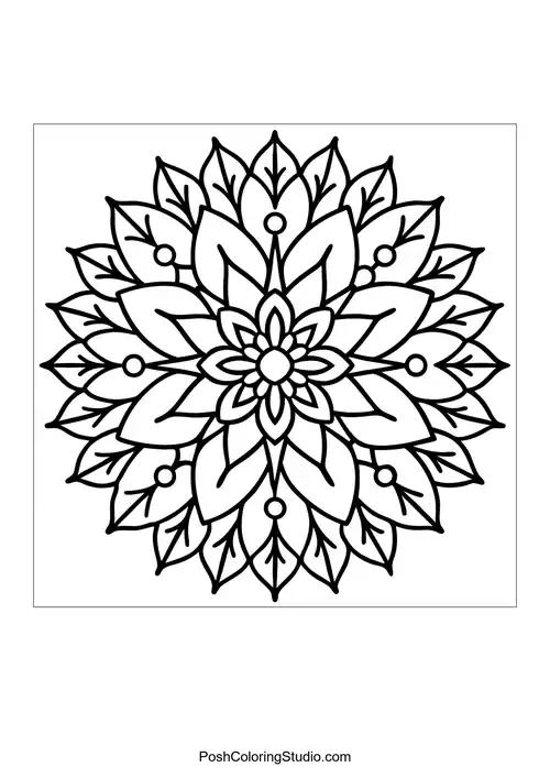 Flower mandala with pointed petals and circular designs.