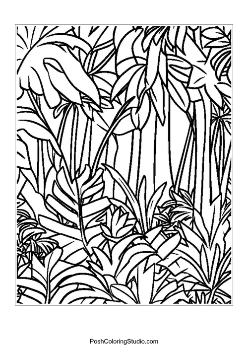 A dense arrangement of tropical plants and trees.