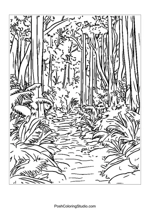 A pathway through a dense forest with tall trees.