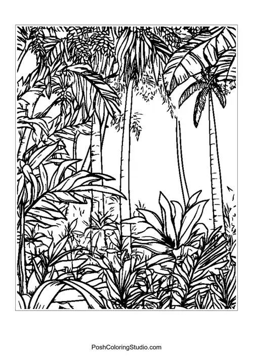 A tranquil rainforest scene with a river and lush plants.