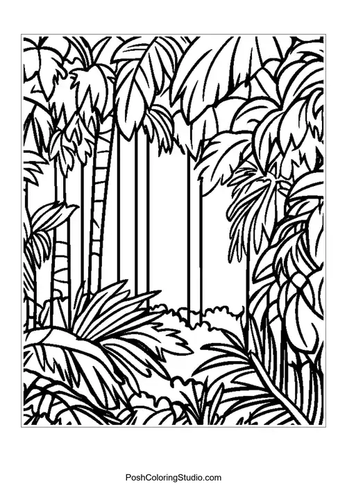 A winding path through a dense rainforest with tall trees.