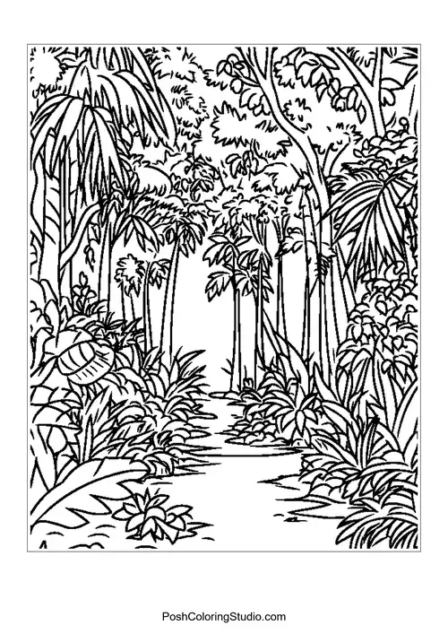 A winding river surrounded by dense jungle foliage.