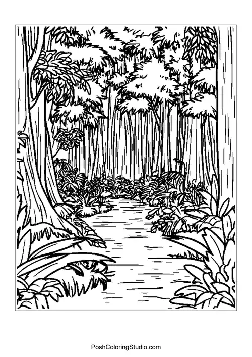 A forest path surrounded by tall trees.