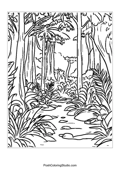 A dense jungle with various plants and trees.