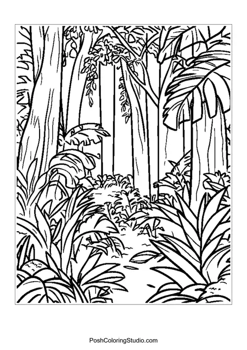 A dense rainforest scene with tall trees and lush foliage.