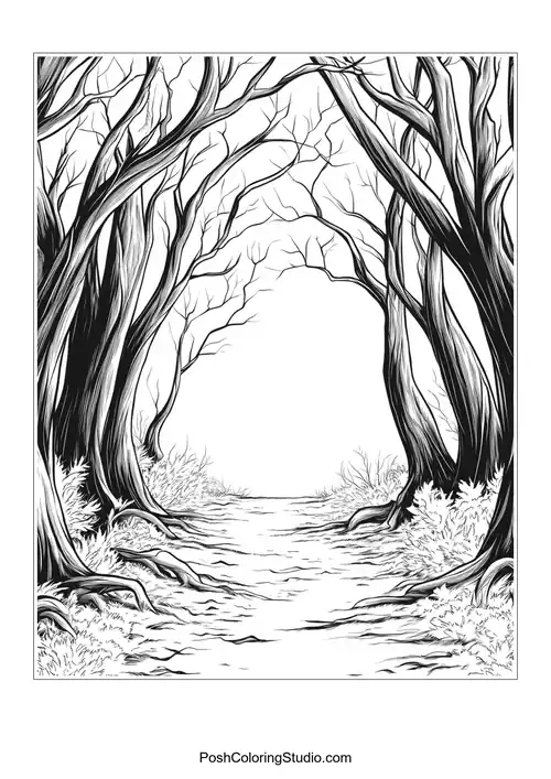 A path through a forest with tall, bare trees.