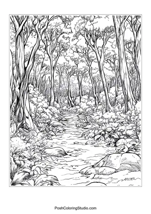 A rocky path through a thick forest with varied plants.