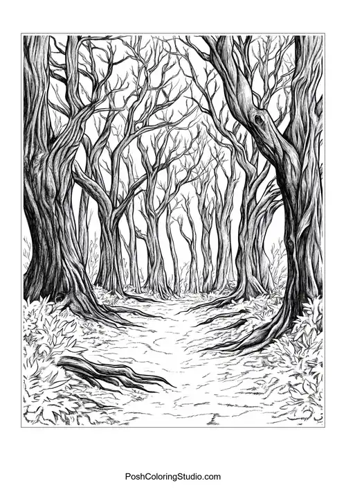 A twisted forest path leading to a clearing.