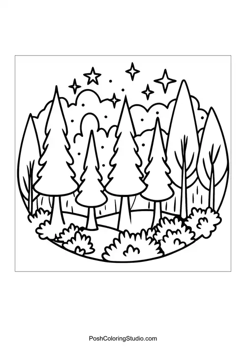 A serene forest with tall trees and a starry night sky.