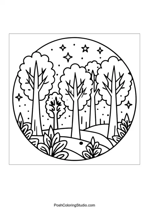 A forest landscape with tall trees and a moonlit sky.