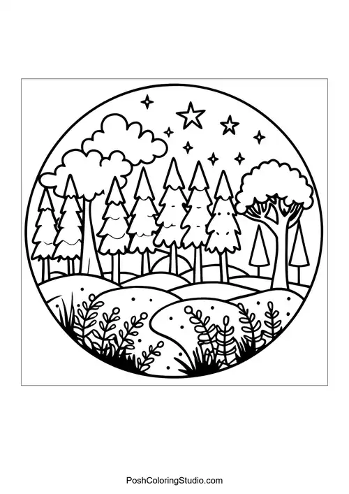 A serene forest scene with tall trees and a winding path.