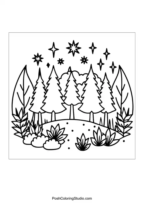 A forest scene with tall trees and starry sky above.