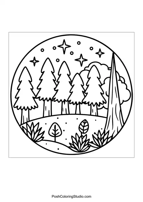 A circular forest scene with tall pine trees and a starry sky.