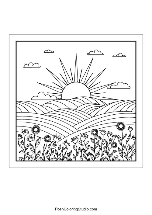 A sun rising over fields with flowers.