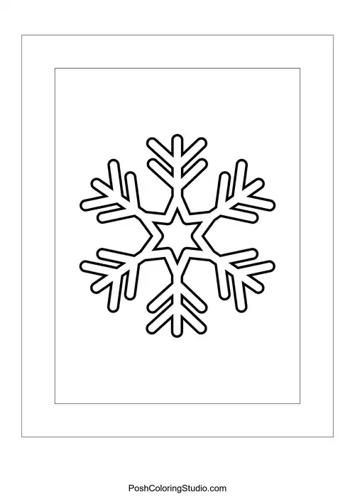 A snowflake with a star center and six branching arms.